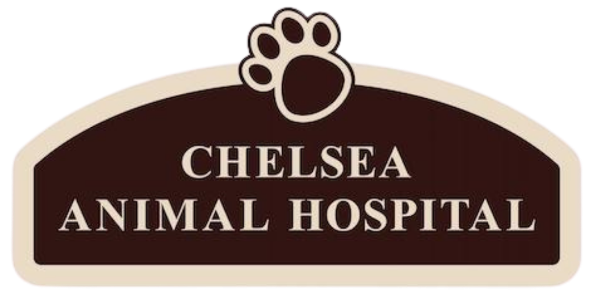 Chelsea Animal Hospital Logo