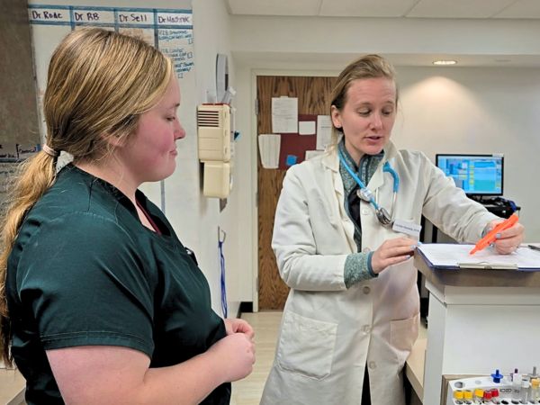Chelsea Animal Hospital veterinarian talking to veterinary staff member