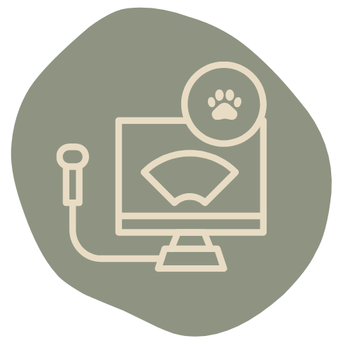 Pet Imaging Icon