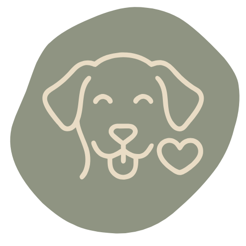 Veterinary Team Icon