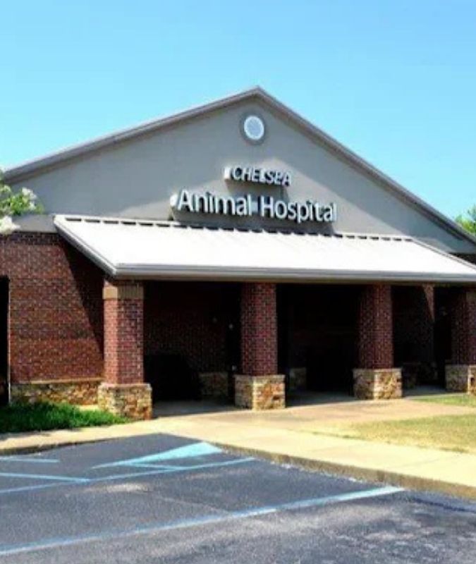 exterior view of the hospital